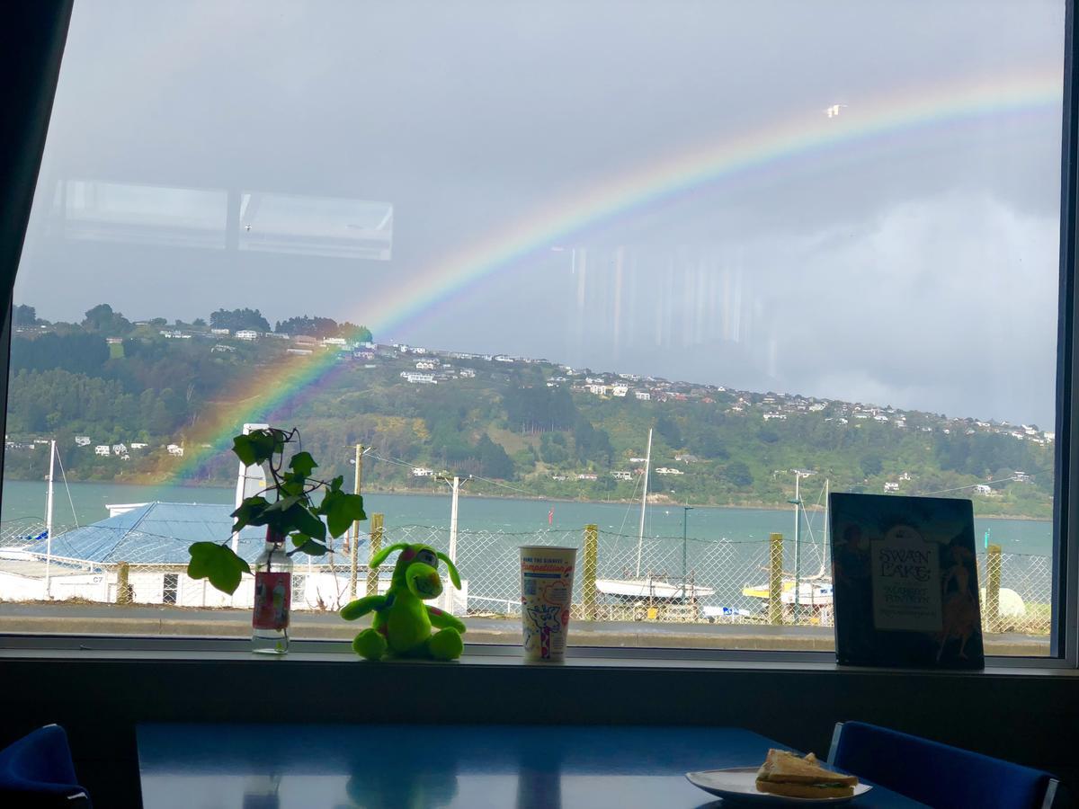 Harbourview Stadium Hotel Dunedin Exteriér fotografie